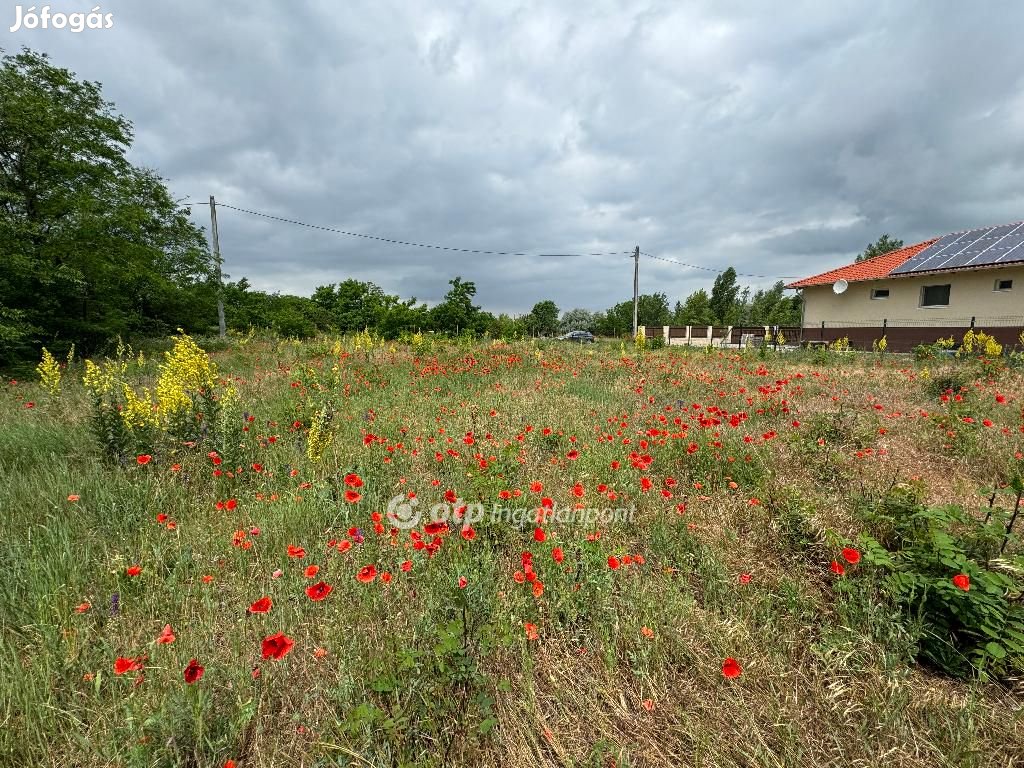 Eladó Telek, Délegyháza