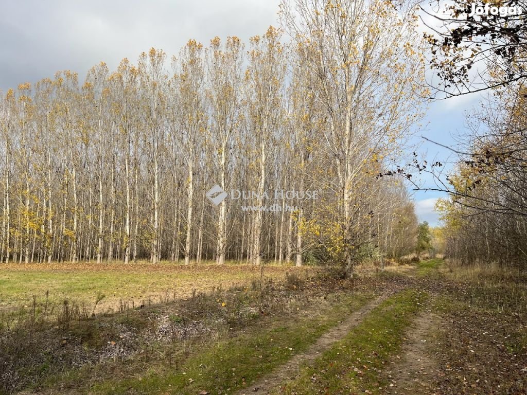 Eladó Telek, Dunavarsány