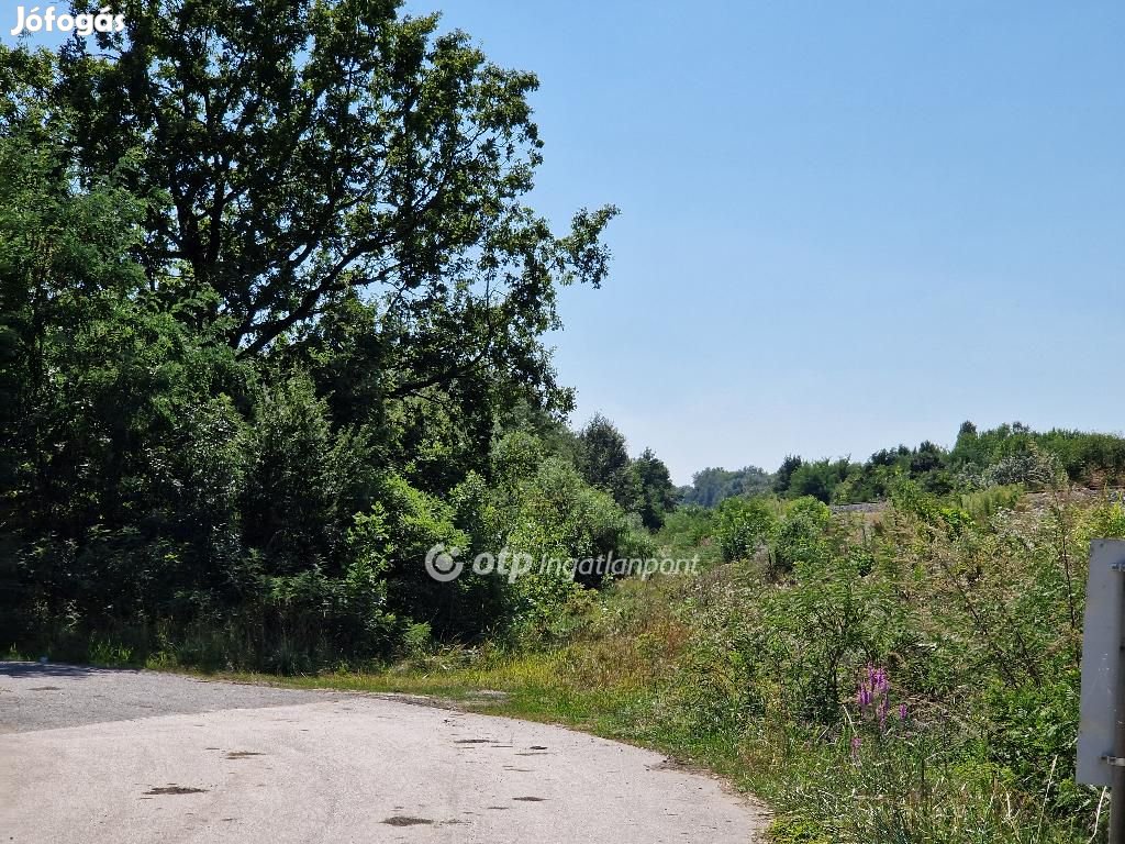 Eladó Telek, Hódmezővásárhely