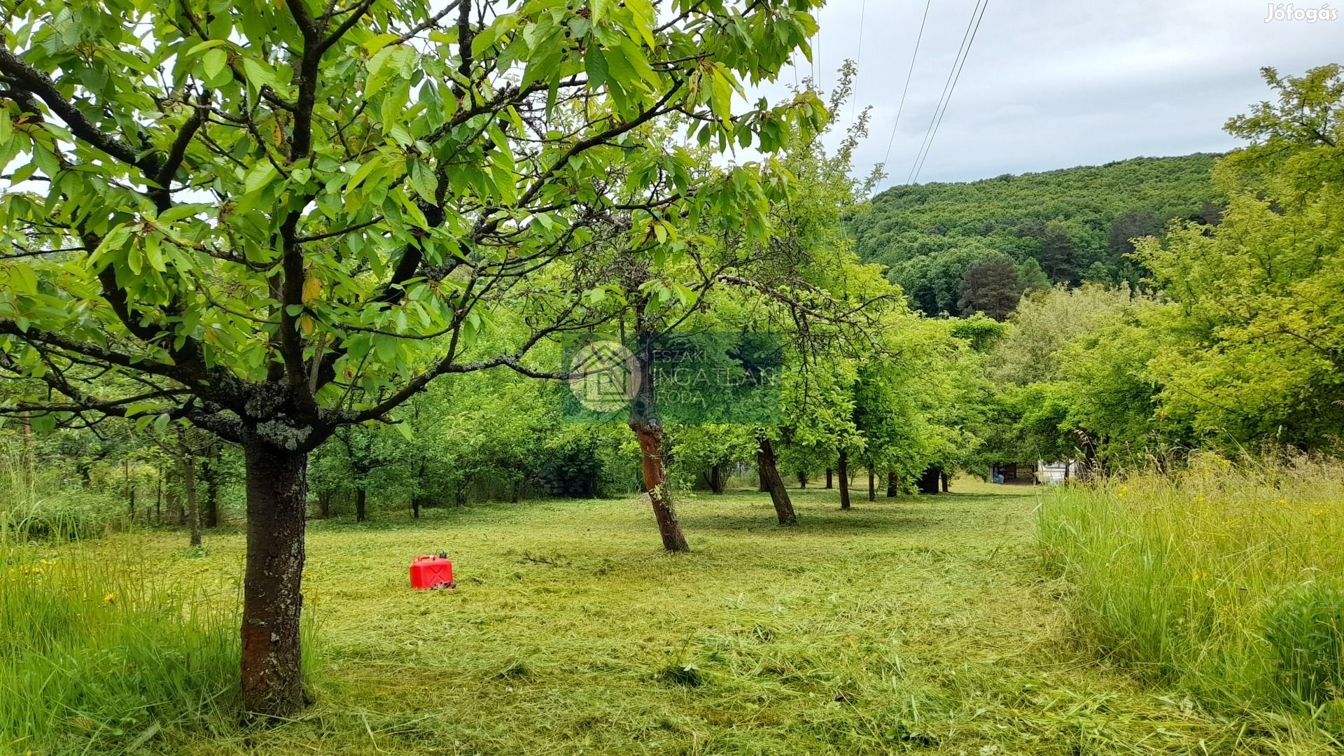 Eladó Telek, Kazincbarcika 3.000.000 Ft