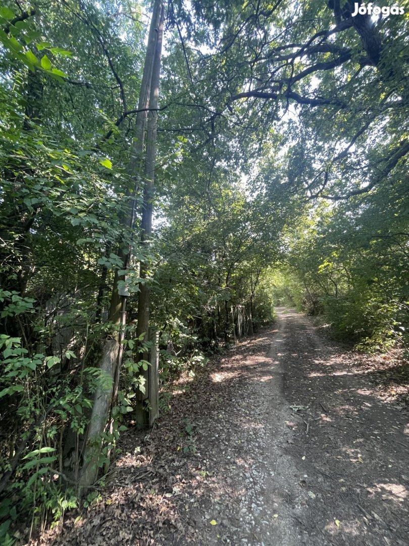 Eladó Telek, Miskolc 1.250.000 Ft