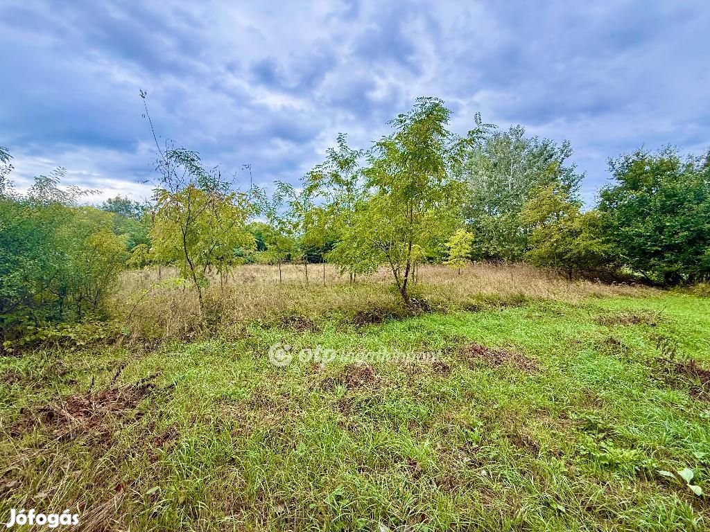 Eladó Telek, Monorierdő