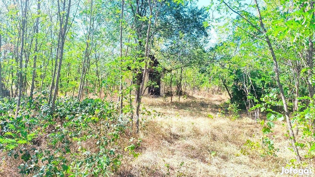 Eladó Telek, Újszilvás