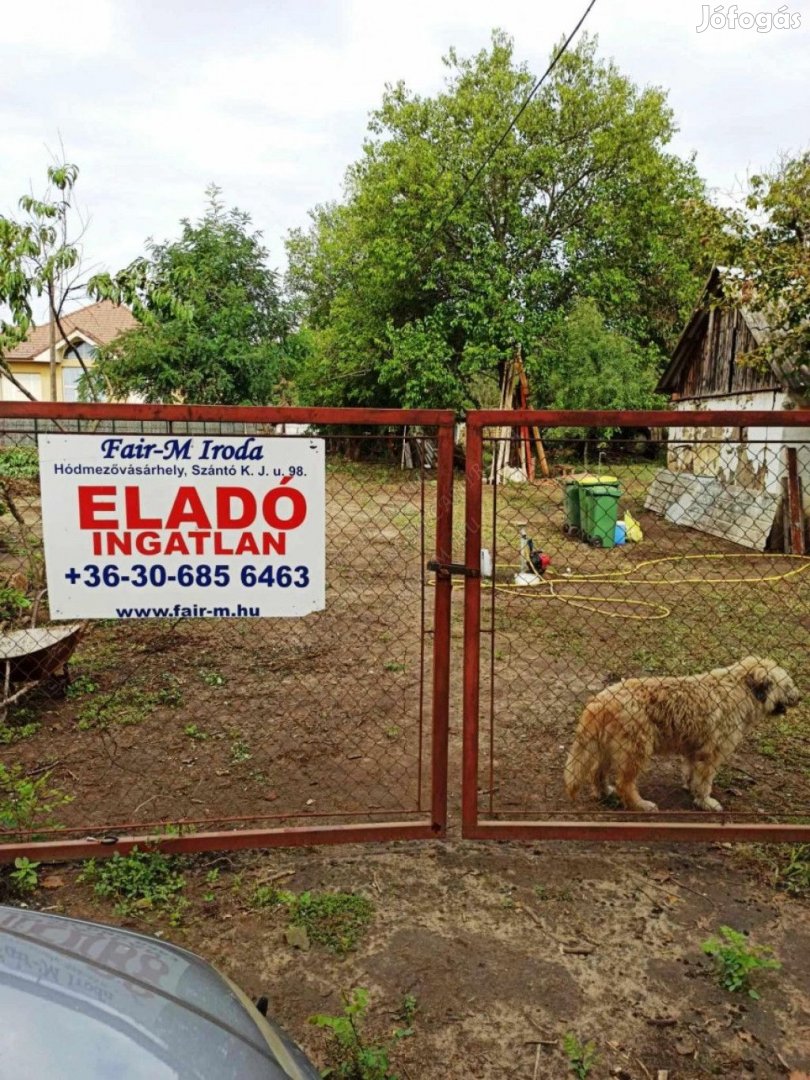 Eladó Telek - Hódmezővásárhely