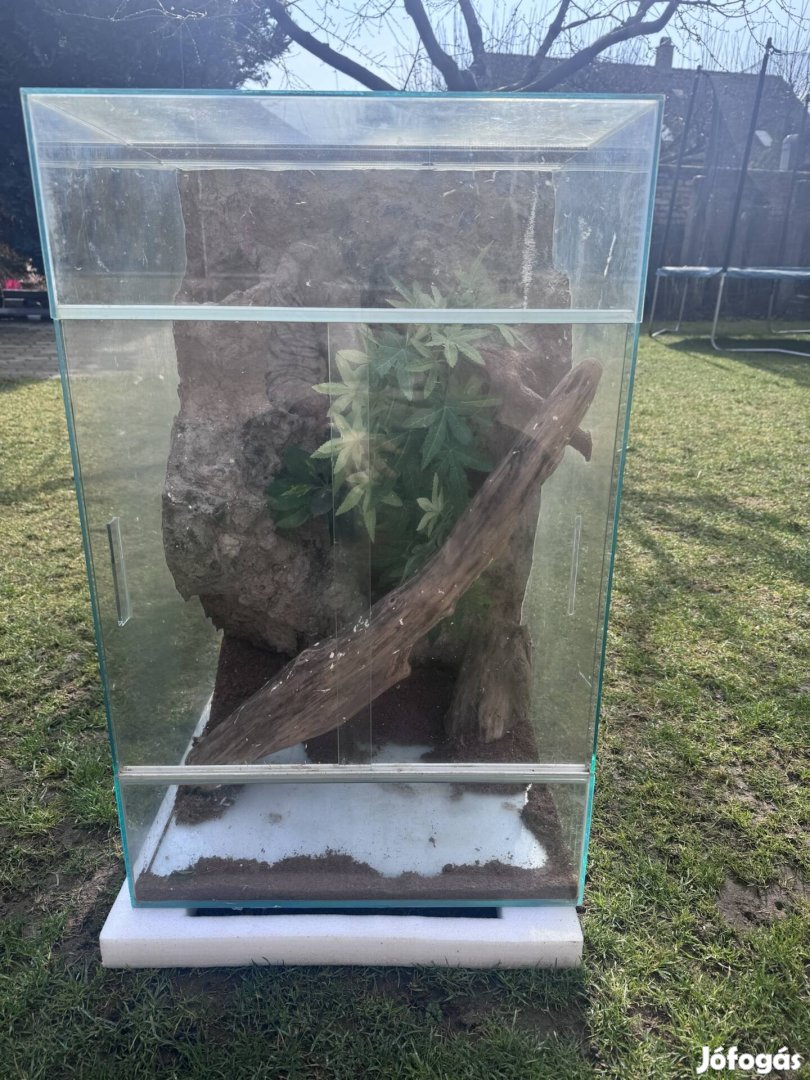 Eladó Terrárium