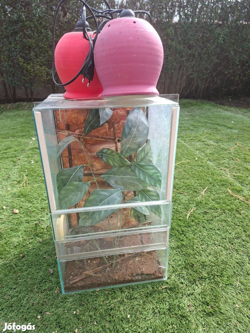 Eladó Terrárium