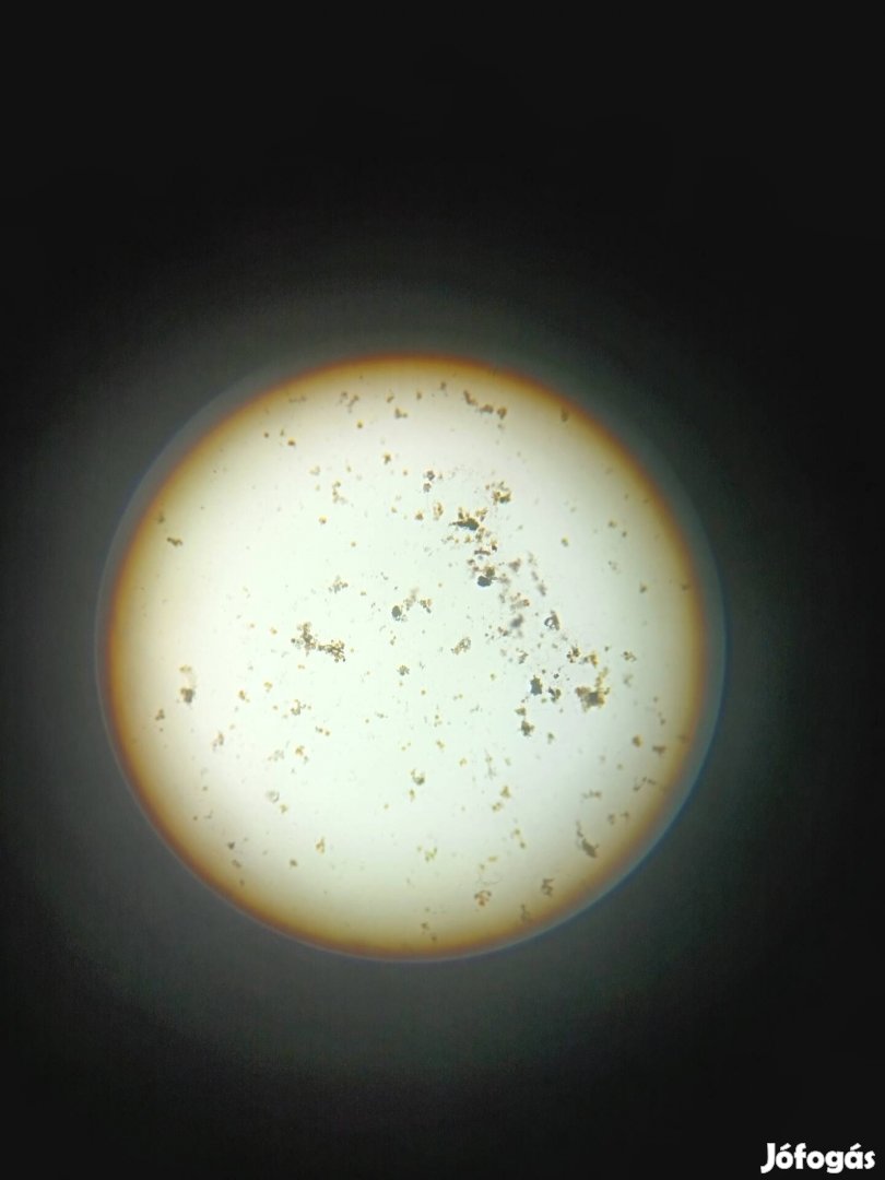 Eladó Új mikroszkóp