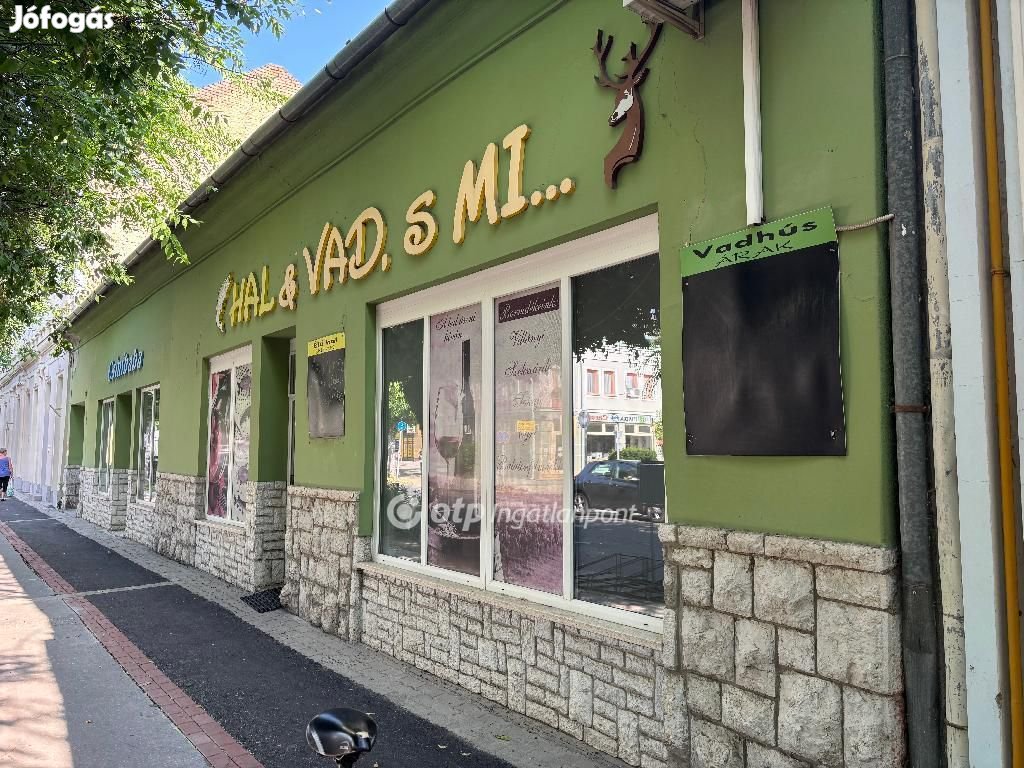 Eladó Üzlethelyiség, Mohács