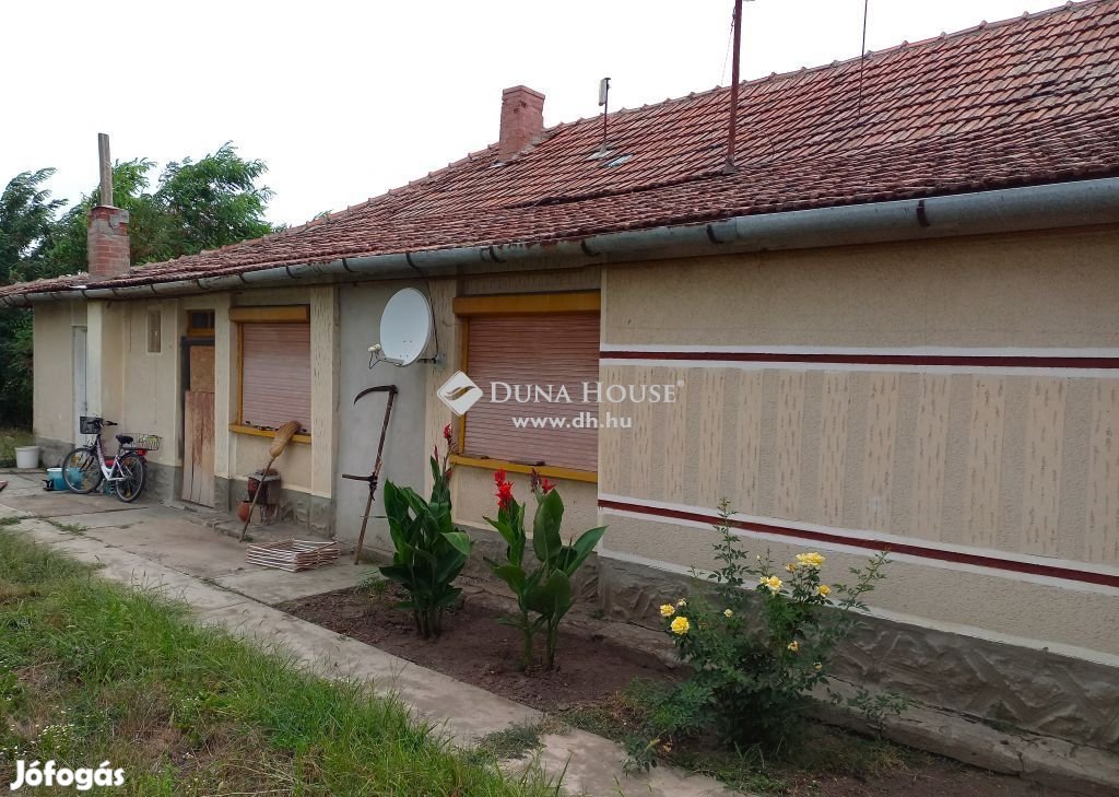 Eladó Végegyházán lakható álapotban lévő nagy kertes ház.