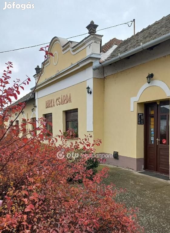 Eladó Vendéglátó, Gyomaendrőd