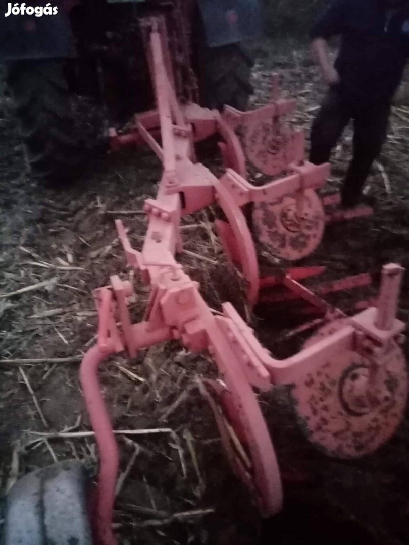 Eladó Vogel noot eke