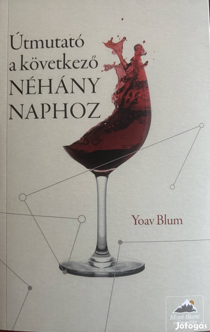 Eladó Yoav Blum: Útmutató a következő néhány naphoz című könyv...