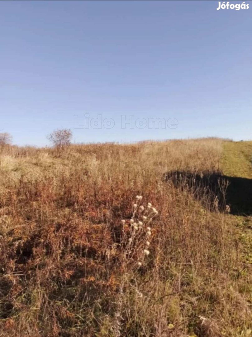 Eladó Zártkert Igalban az Igali fürdő kb. 2 km!