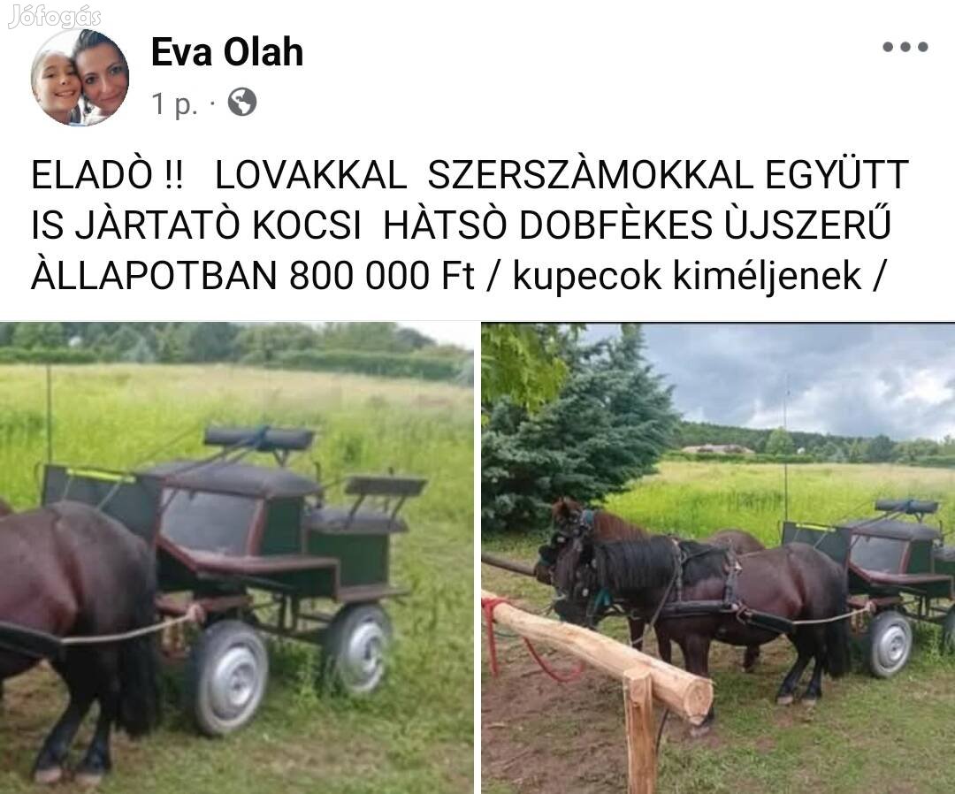 Elado   együtt is külön is ponik+jaratato kocsi 