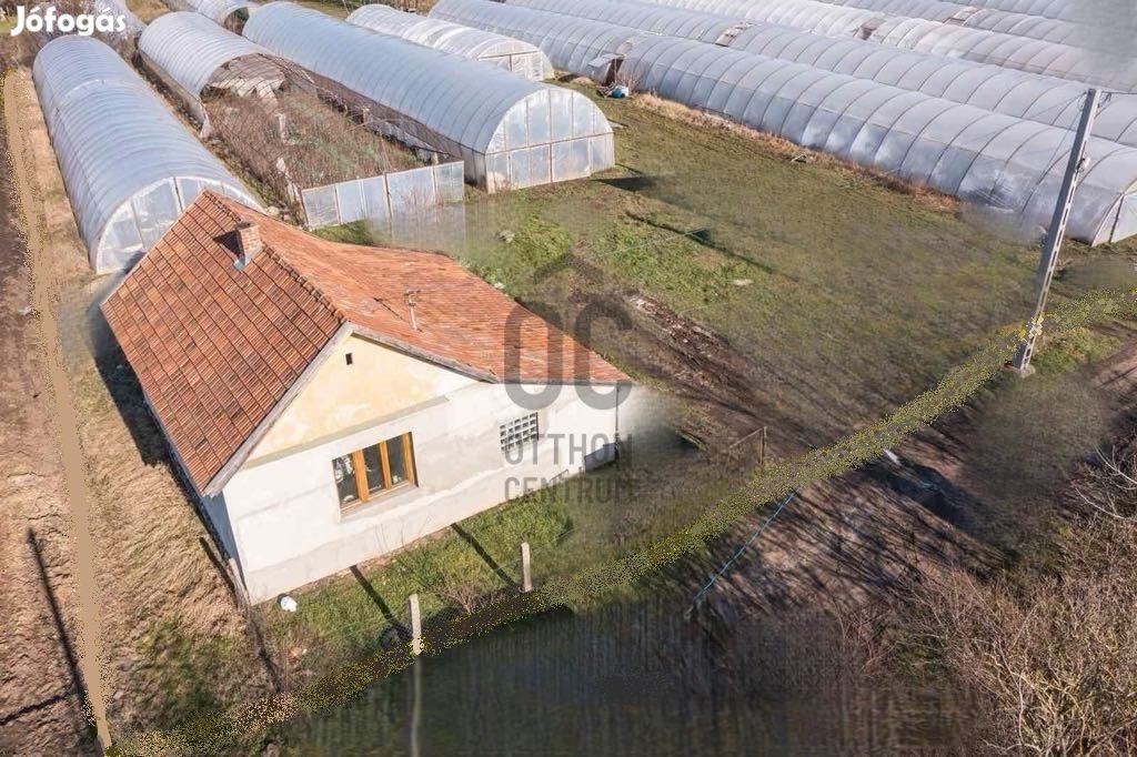 Eladó, gazdálkodásra alkalmas tanya 9 fóliasátorral, 2 szobás házzal,