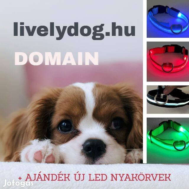 Eladó a livelydog.hu domain név