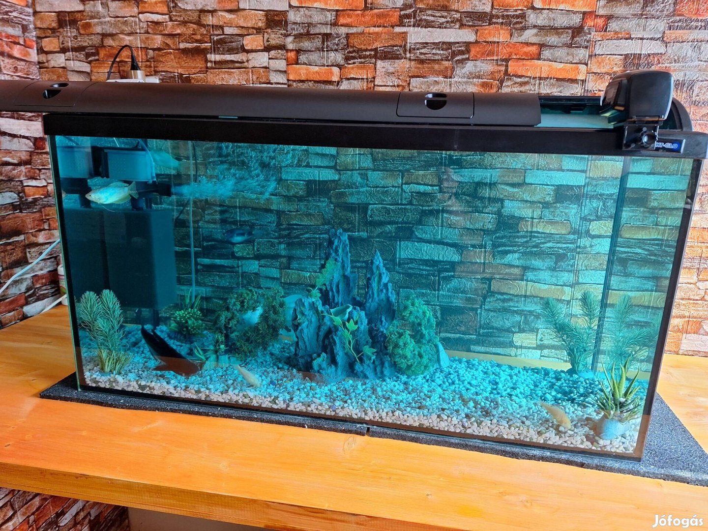 Eladó akvárium 