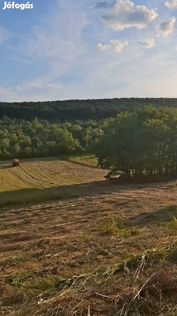 Eladó áron alul Törökbálinti 1770 m? üres telek 
