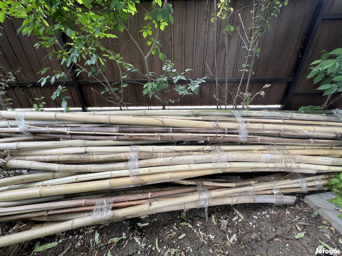 Eladó bambuszkarók