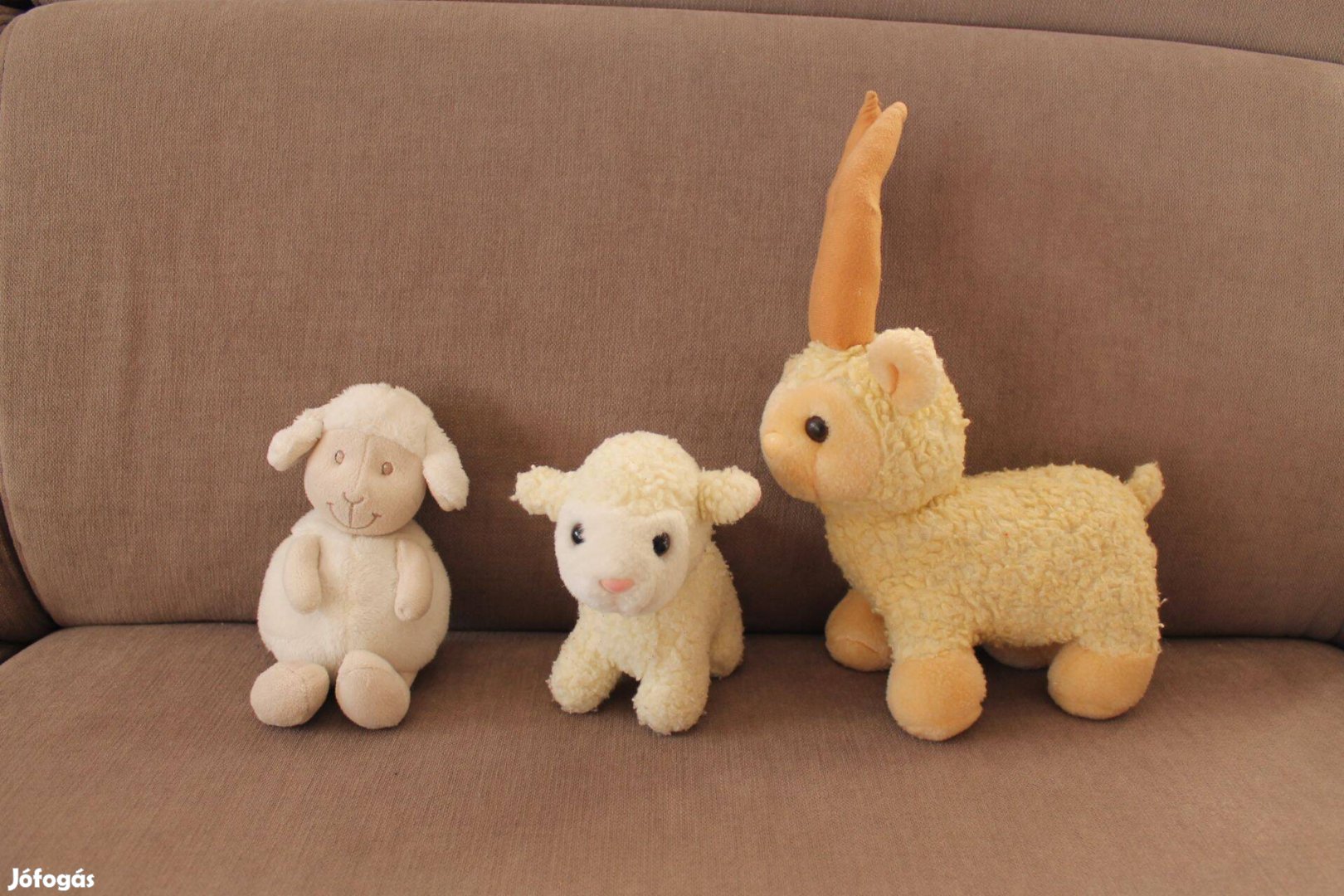 Eladó bárány, kos plüss csomagban