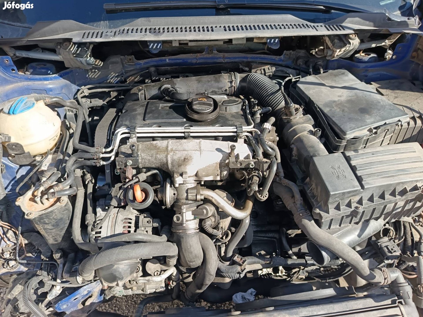 Eladó bkd /azv motor 2.0pd 16v