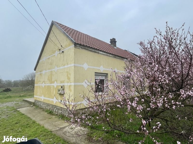 Előnézeti kép