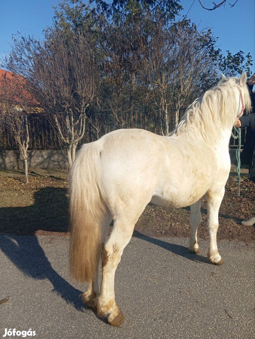 Eladó cserélhető be lovagolt be kocsizot gyerek barát