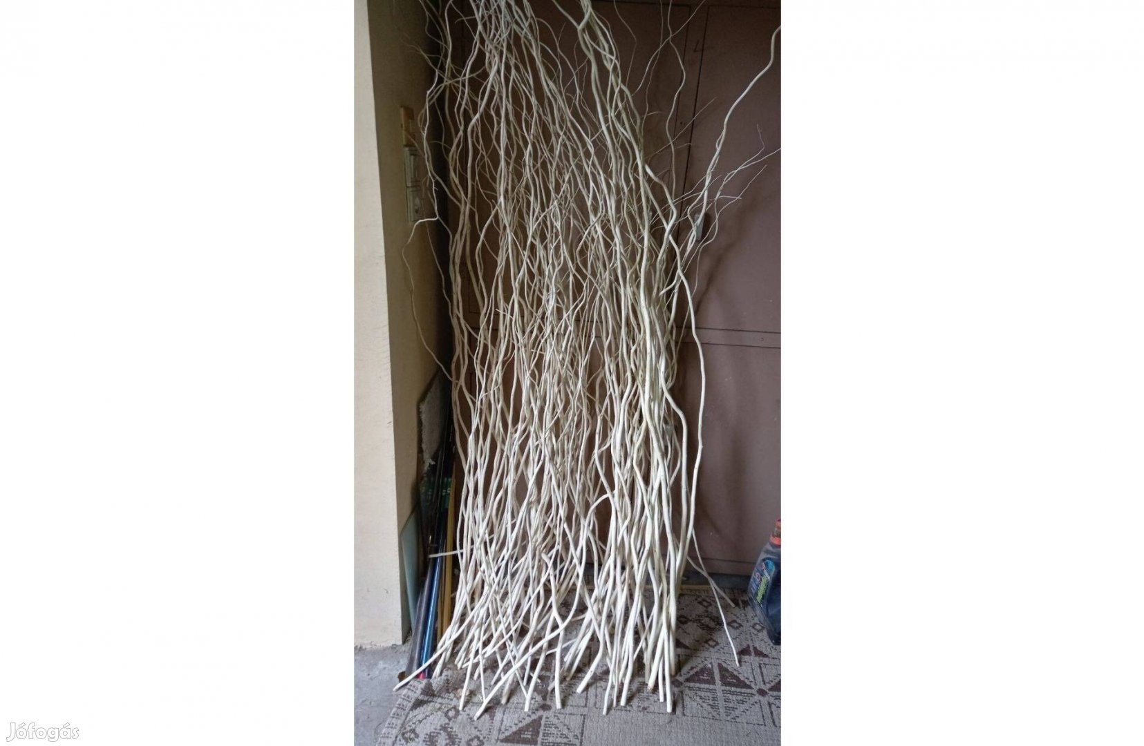 Eladó dekor ágak Csavart fűz hántolt