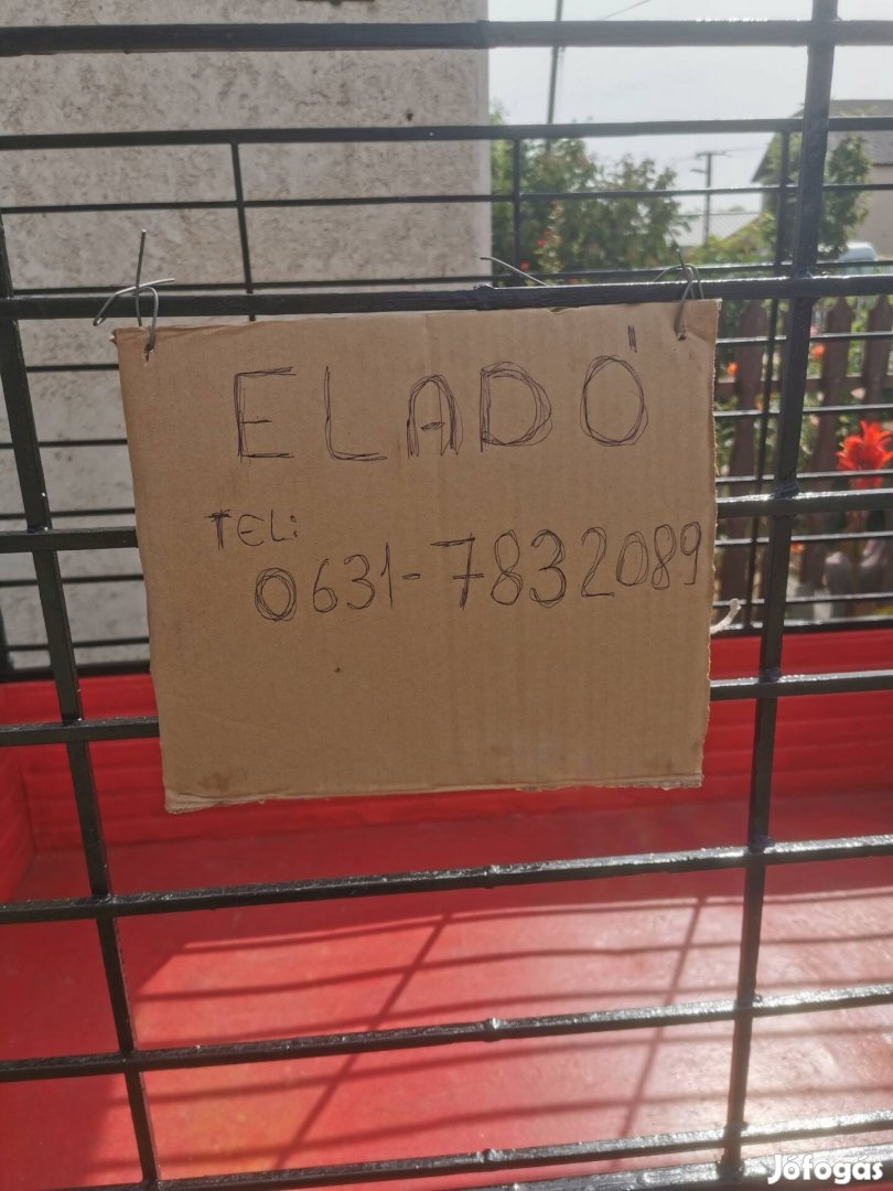 Eladó egy után futó egyebi