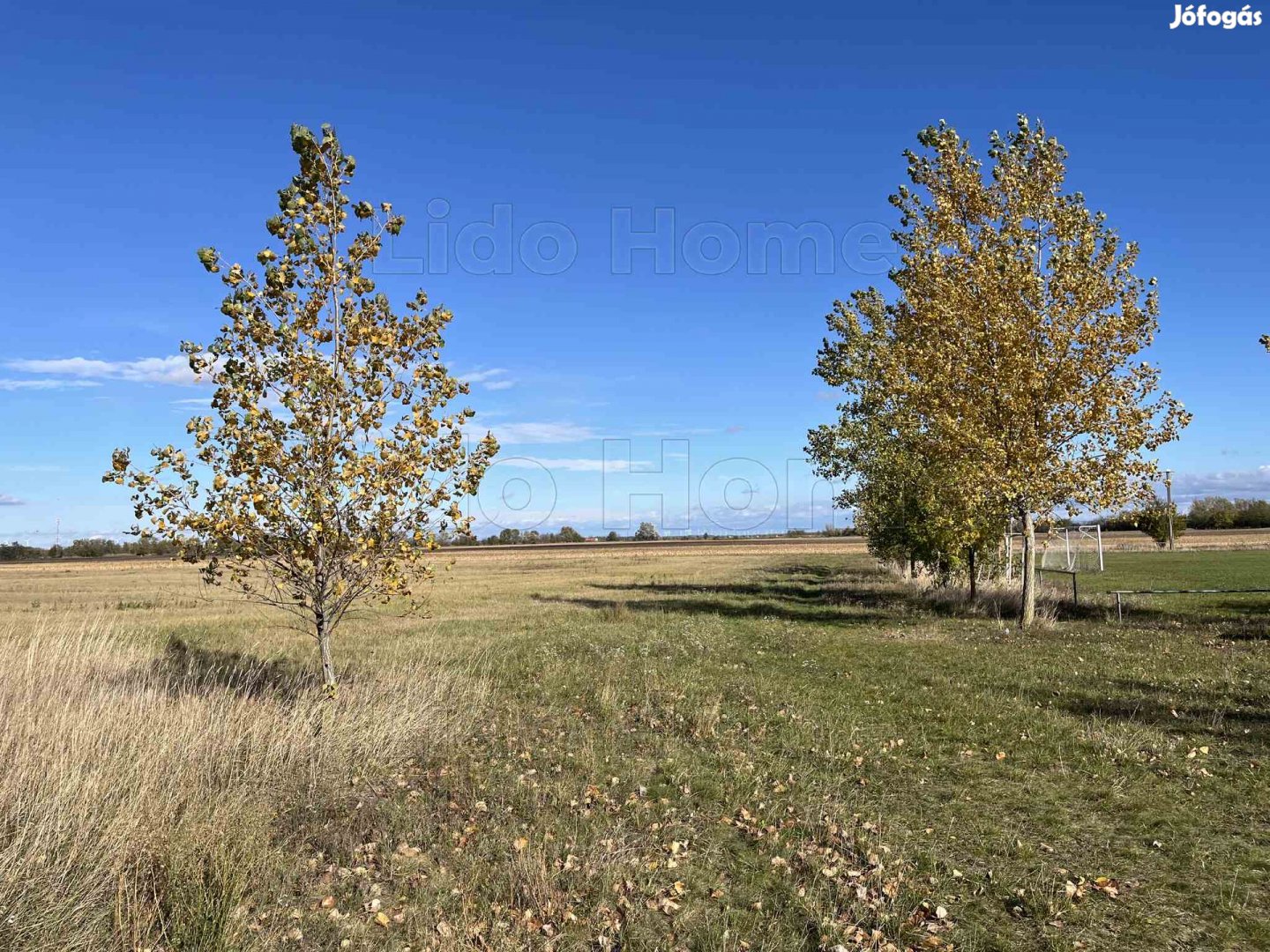 Eladó építési telek Mindszentpusztán