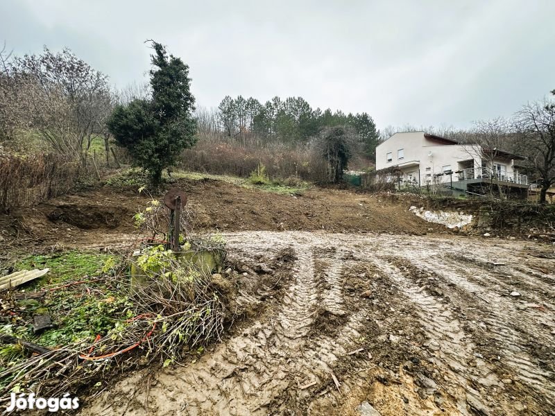 Eladó építési telek Pécs Donátusi részén!