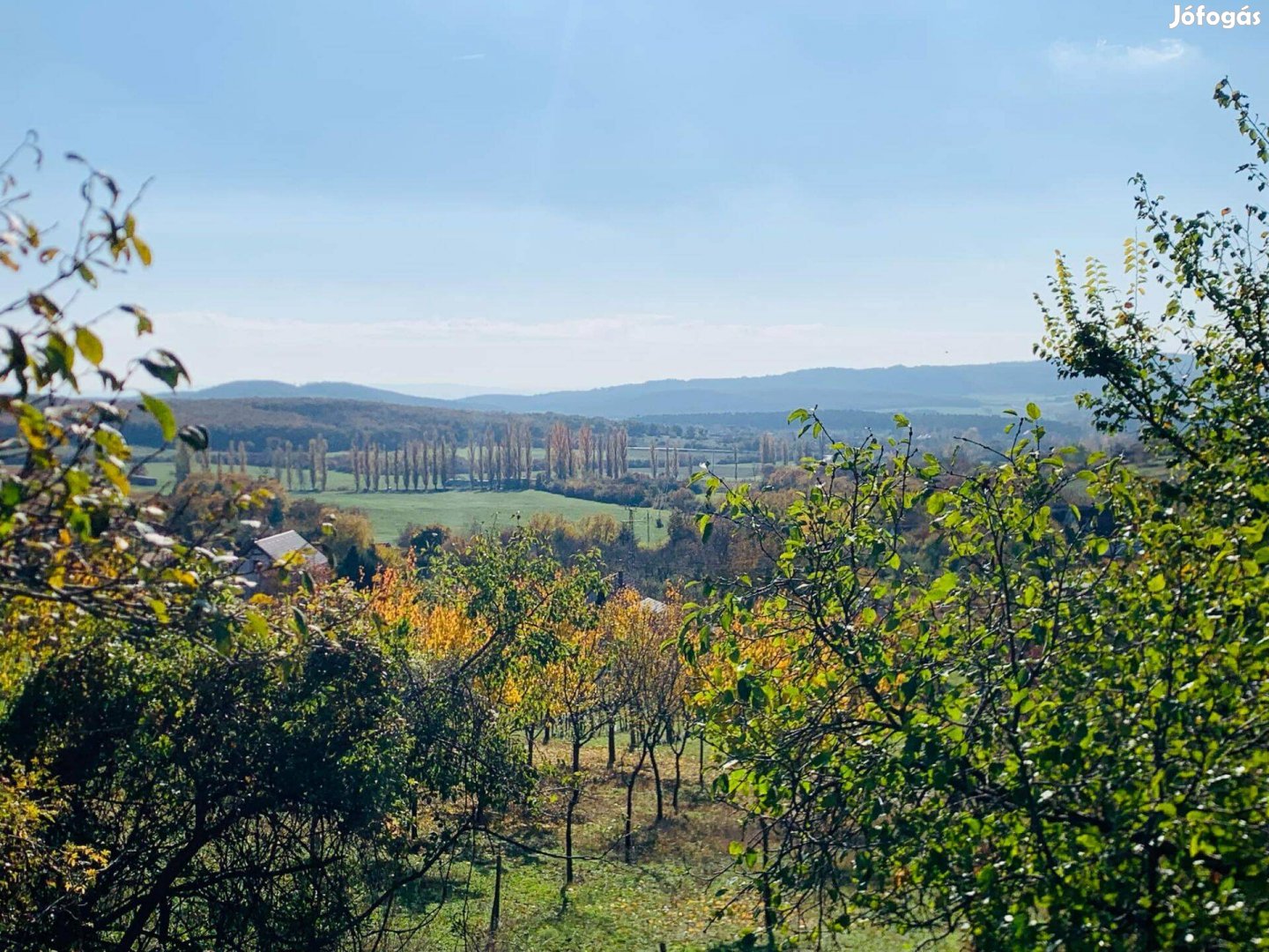 Eladó erdő Pécselyen, mesés környezetben