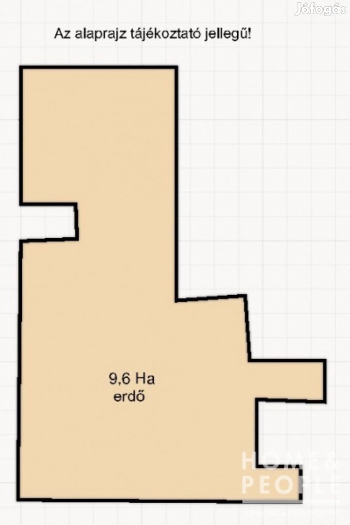 Eladó erdő, Ásotthalom!