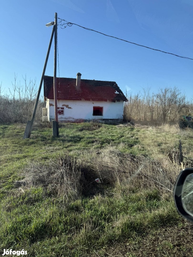 Eladó felújítandó ház nagy telekkel Magyarcsanádon
