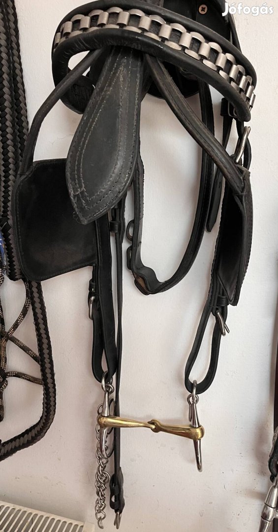 Eladó fogatos kantár