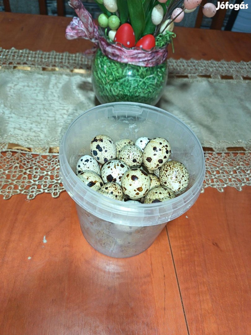 Eladó fürj tojás