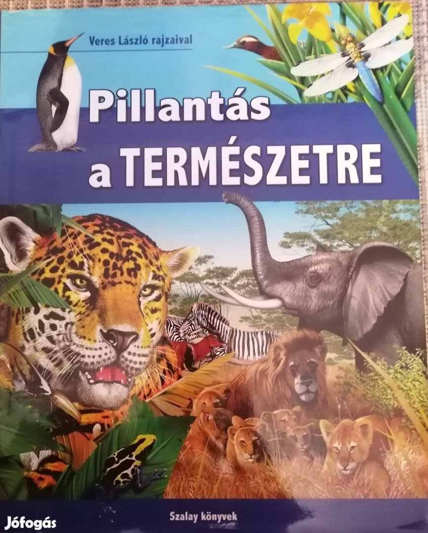 Eladó gyermek könyvek