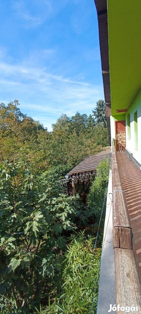 Eladó ház, Kiskunlacháza Dunaparti üdülő, 65000000 Ft, 205