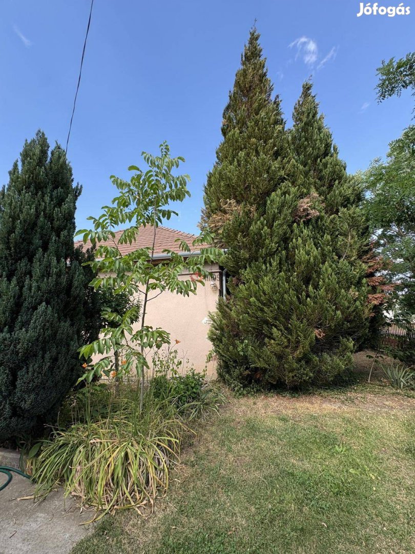 Eladó ház, Vámosmikola Vámosmikola, 32500000 Ft, 110 nm