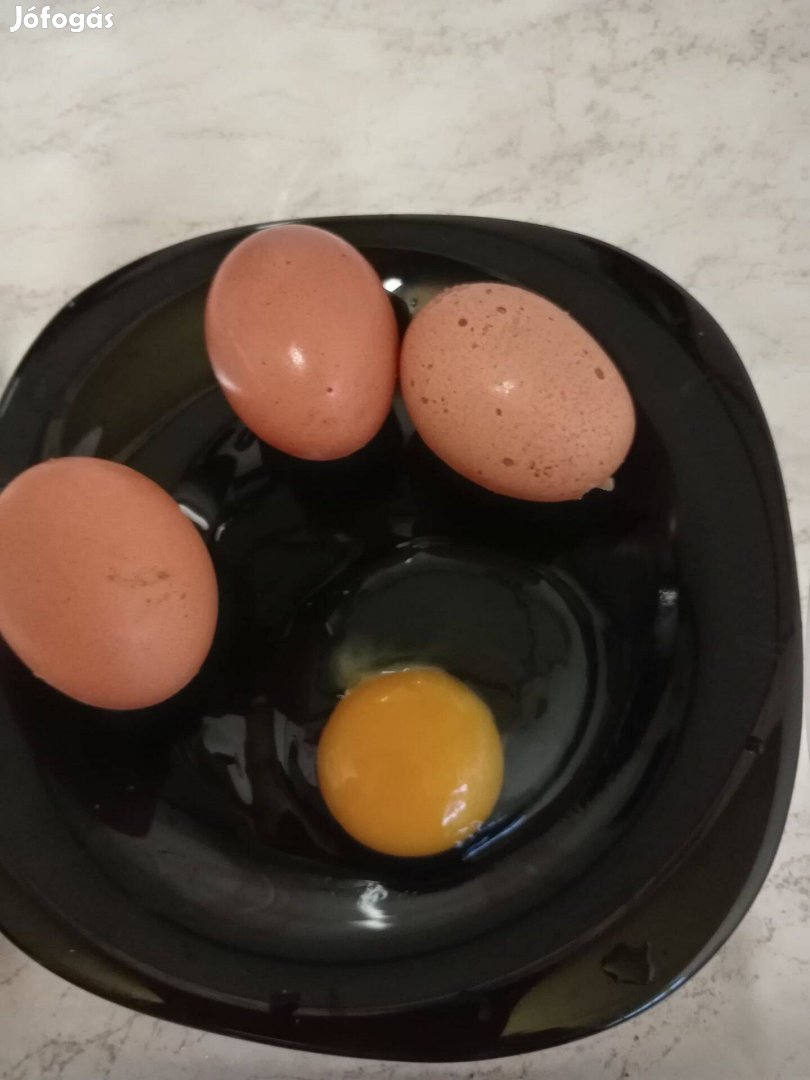 Eladó házi tojás