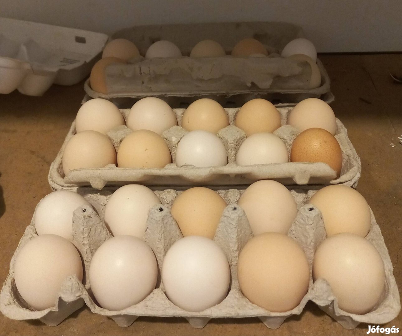 Eladó háztáji tojás (tyúk- és fürjtojás)