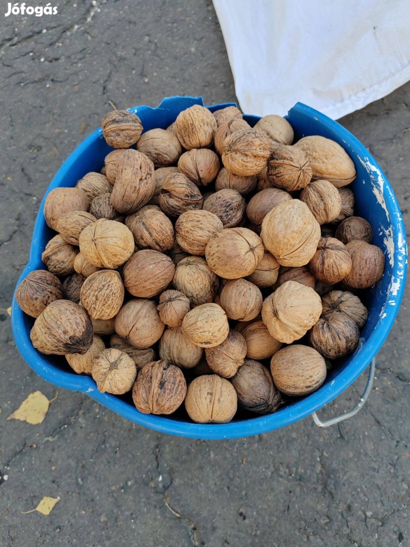 Eladó héjas dió 1200ft kg. Ba