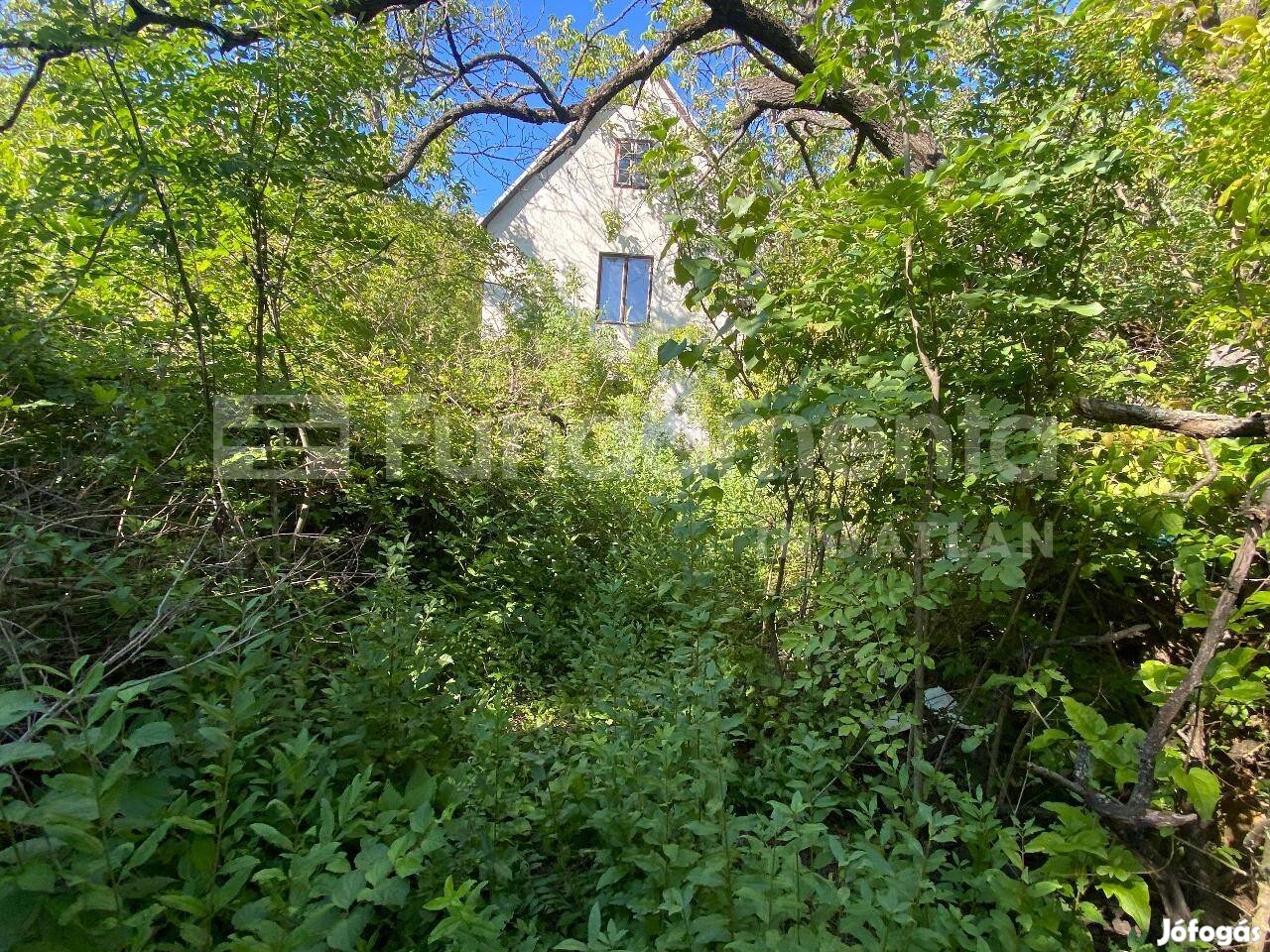 Eladó hétvégi ház Budaörsön a Frankhegyen