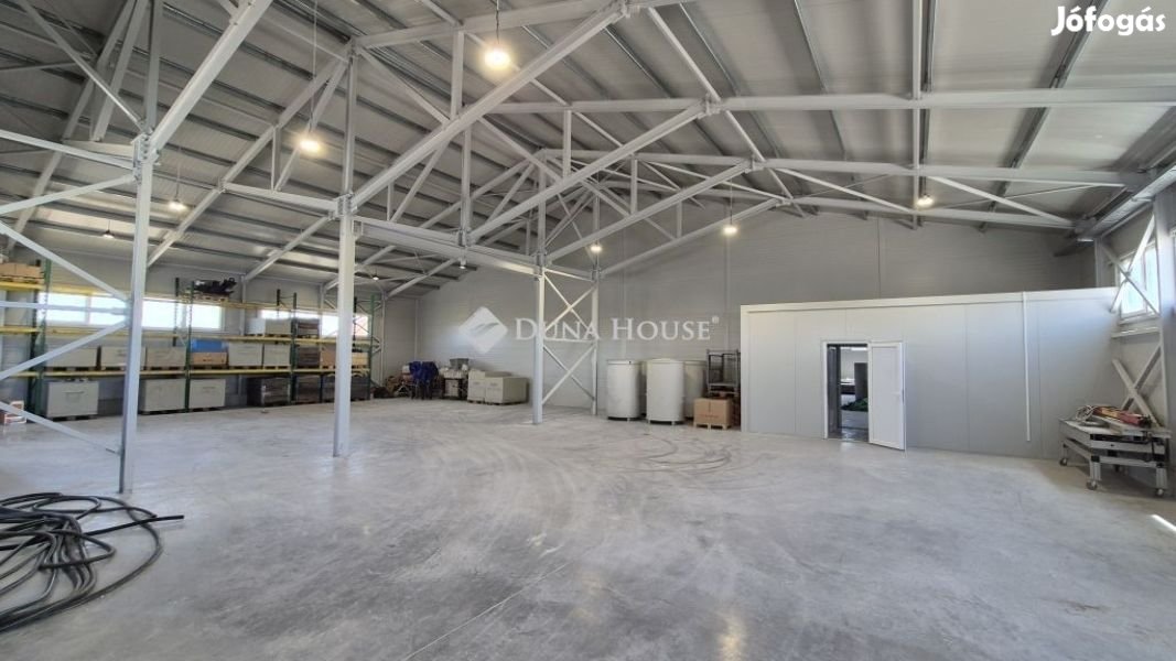Eladó ipari, Kecskemét