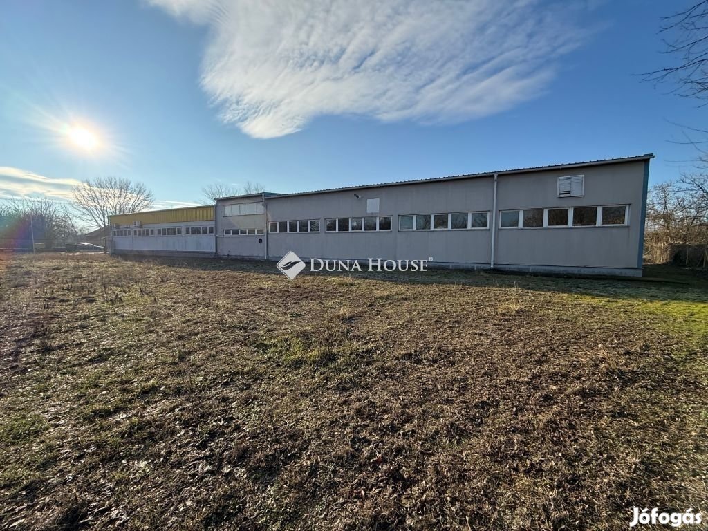 Eladó ipari, Kecskemét