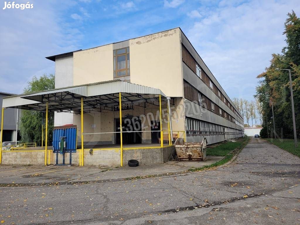 Eladó ipari, Tiszaújváros Tiszaújváros, 188900000 Ft, 4320