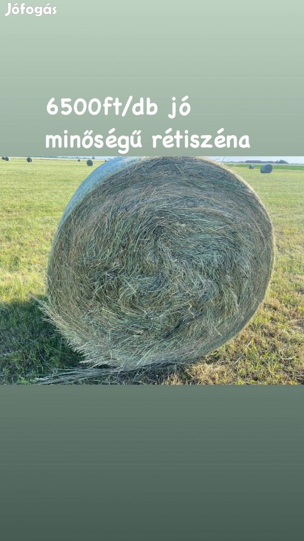 Eladó jó minőségű Széna 