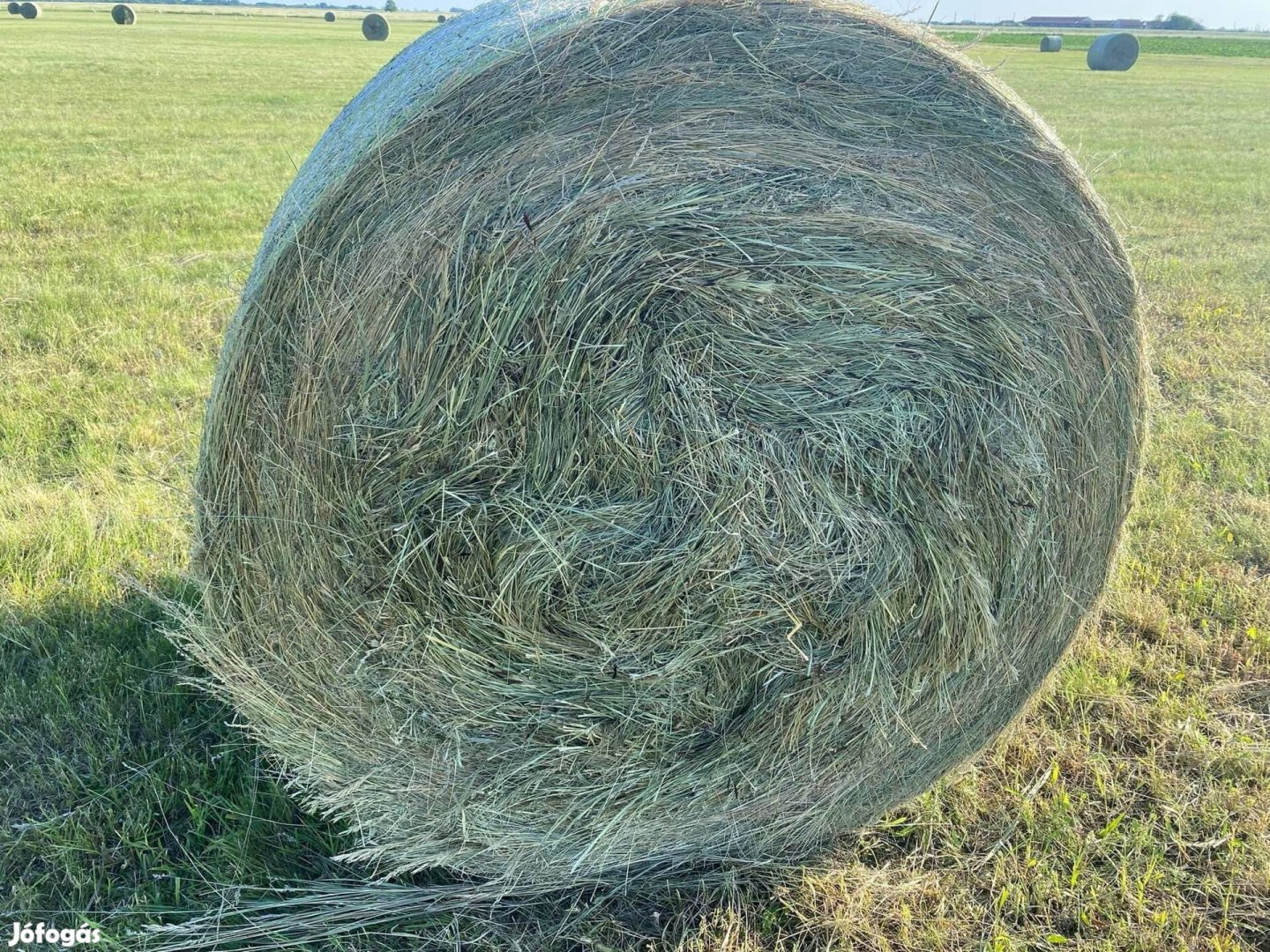 Eladó jó minőségű rétiszéna 