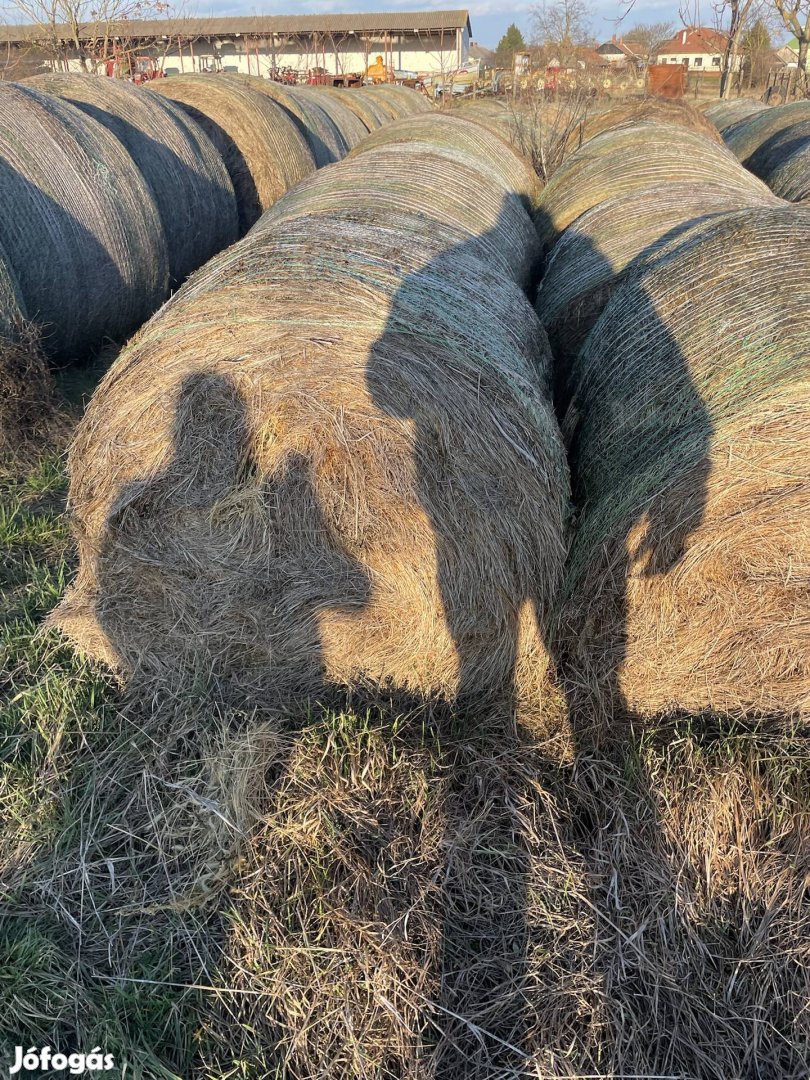 Eladó jó minőségű széna