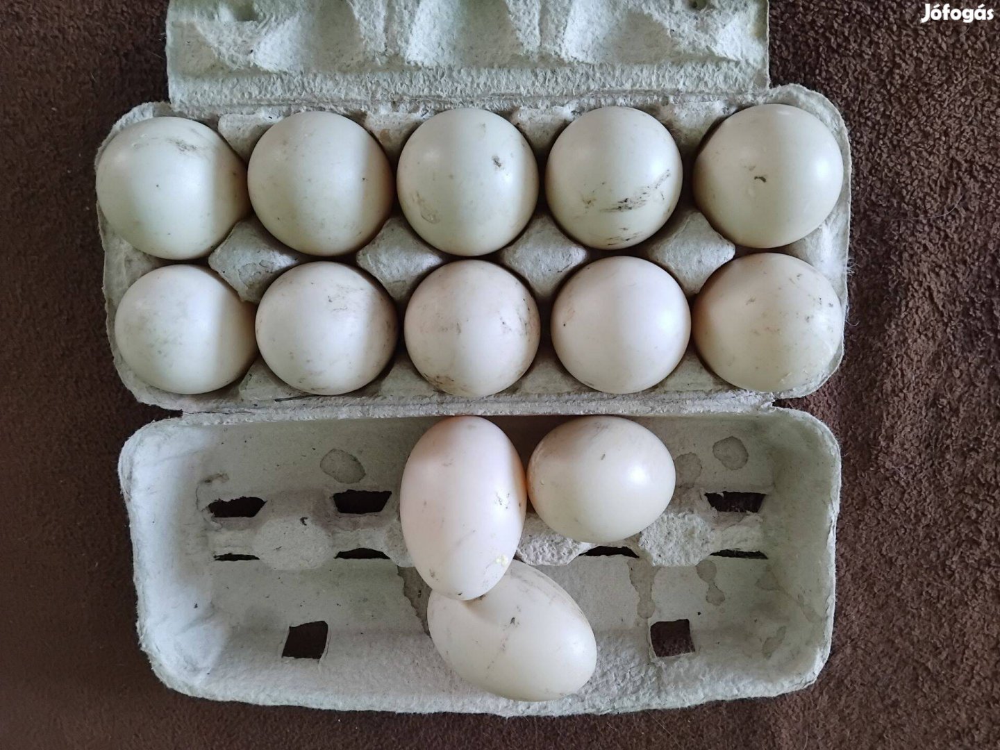Eladó kacsa tojás